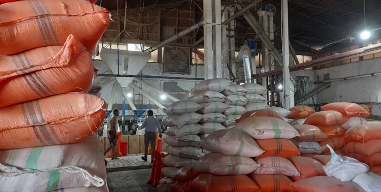 خرید هزار و ۵۰۰ تن برنج توسط اتحادیه از کشاورزان بابلی